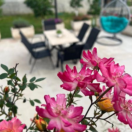 Sunny Hill - Parking - Fenced Garden - Luxury Loft Appartement Kotor Buitenkant foto