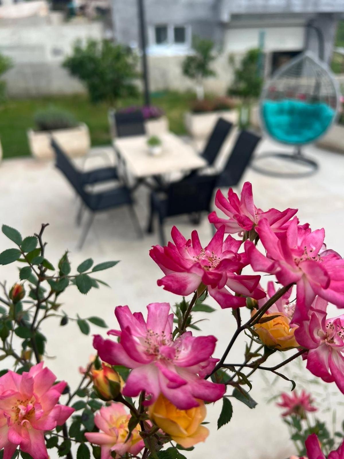 Sunny Hill - Parking - Fenced Garden - Luxury Loft Appartement Kotor Buitenkant foto